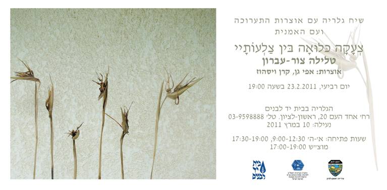 שיח גלריה