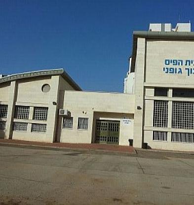 ניצנים