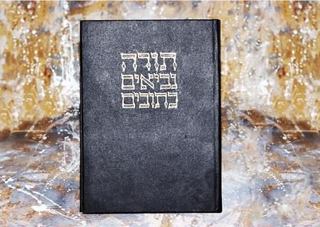 טעות לעולם חוזרת – אריאל הכהן