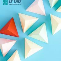 תקנון