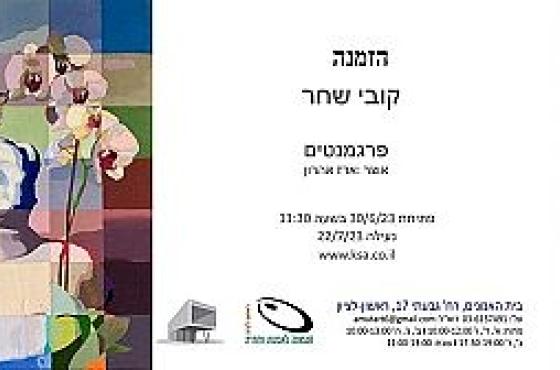 תערוכה חדשה - פרגמנטים /קובי שחר