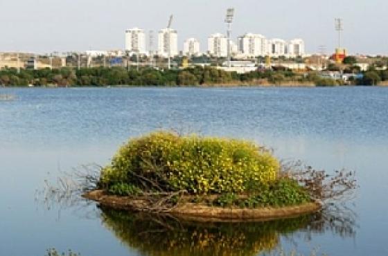 קול קורא לתערוכה – תושבים מצלמים עיר בסמארטפון