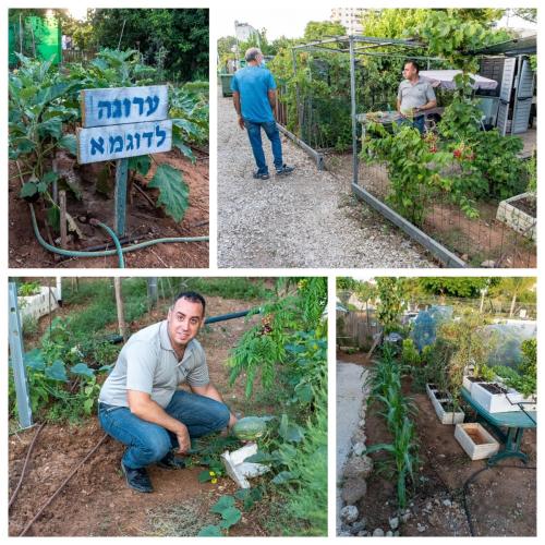 פרויקט גינה לתושב ראשון לציון